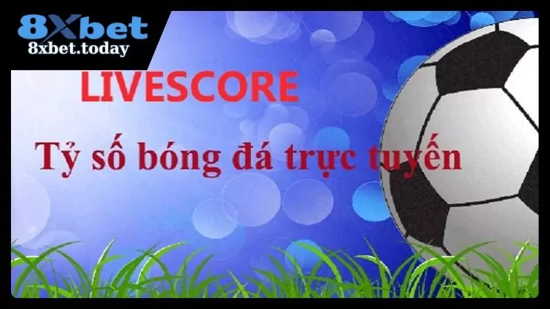 Cách thức sử dụng phần mềm Livescore hiệu quả