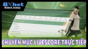 Đôi nét về app Livescore bóng đá